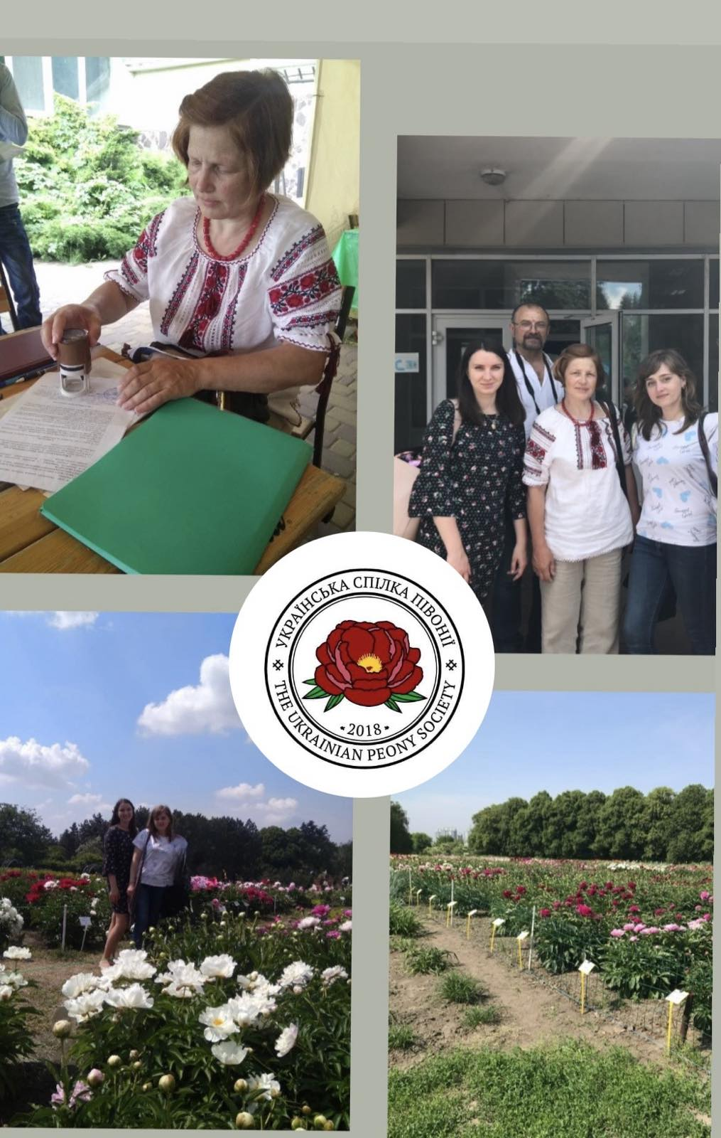 Співпраця з Українською спілкою півонії
