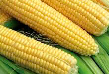 agro